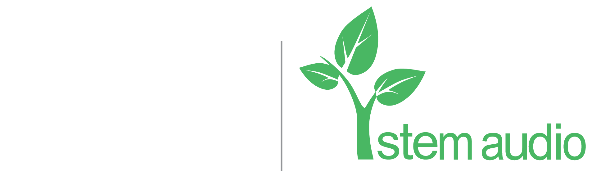 BTX_StemAudio_logos_wht-grn